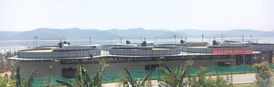 High Effective Shallow Dissolved Air Flotation for Industrial Waste Water Treatment Plant 