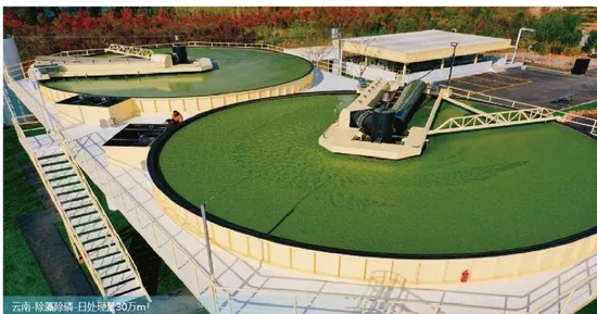 Sewage Treatment Machinery Shallow Dissolved Air Flotation with Advance Daf System 