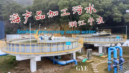 Sewage Treatment Plant Shallow Circular Dissolved Air Flotation for Seafood Processing Wastewater 