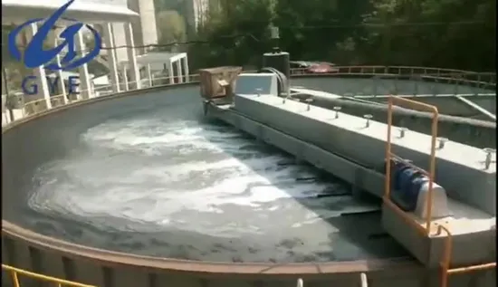 River Water Treatment Equipment Shallow Dissolved Air Flotation for Removing Algae 